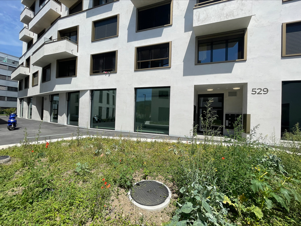 Badenerstrasse527 4